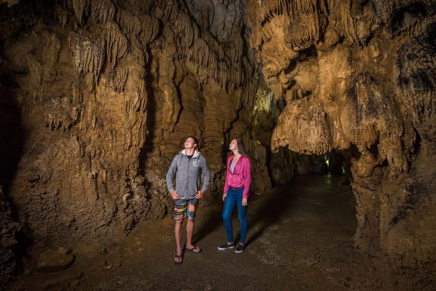 Auckland: Waitomo Caves & Rotorua - Te Puia Small-Group Tour - The short Rotorua city tour