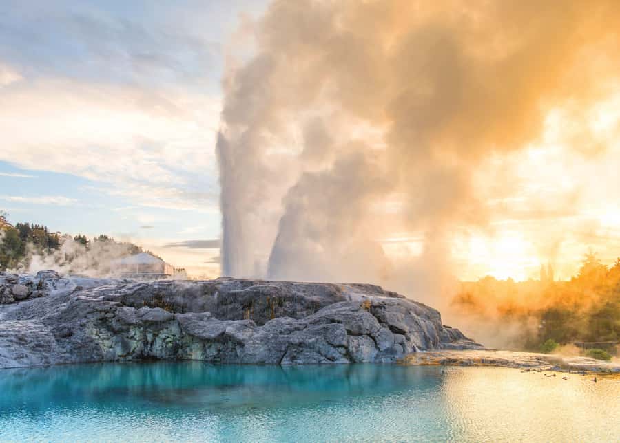 Auckland: Waitomo Caves & Rotorua - Te Puia Small-Group Tour - Is $244 a fair price?