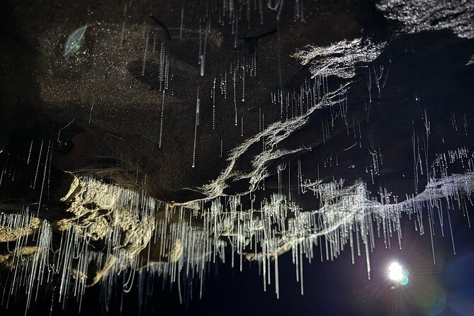 Auckland : Waitomo Spellbound Glow Worm Twin Caves Private Tour - From Auckland to Waitomo by private vehicle