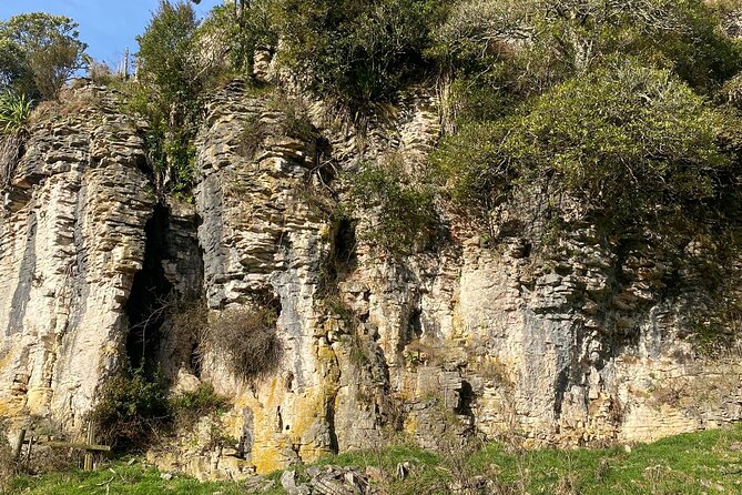Auckland : Waitomo Spellbound Glow Worm Twin Caves Private Tour - Lunch in Otorohanga and the ride home