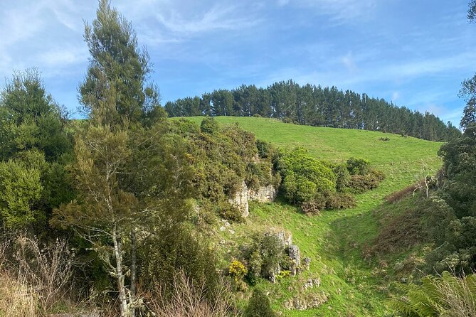 Auckland : Waitomo Spellbound Glow Worm Twin Caves Private Tour - What the $465.43 price means