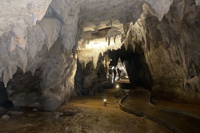 Auckland : Waitomo Spellbound Glow Worm Twin Caves Private Tour - The guides and the tone of the day