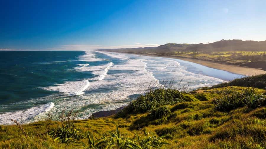 Auckland: West Coast Discovery - Why Piha makes a strong half-day from Auckland