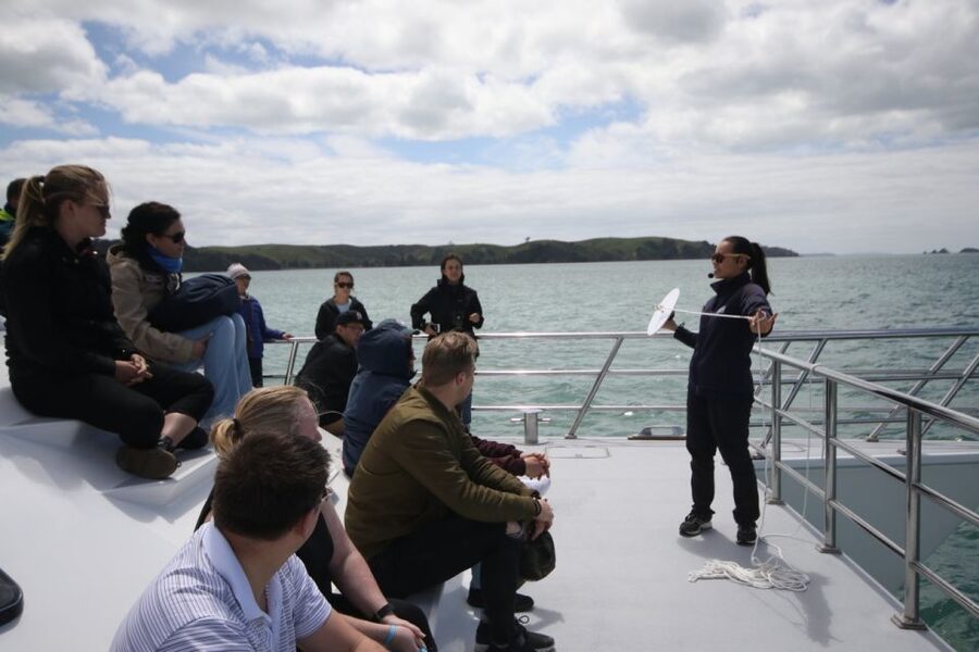 Auckland: Whale and Dolphin Watching Half-Day Eco Cruise - Booking details that can save you trouble