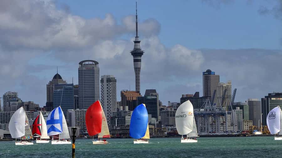 Auckland: Wild West Coast, Black Sand Beaches Tour inc Lunch - Muriwai and its black sand shore