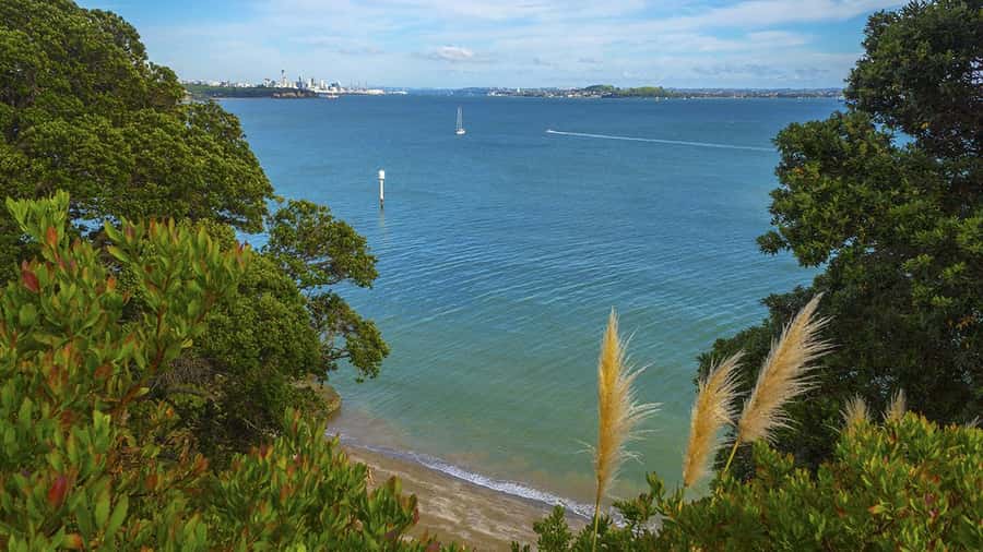 Auckland: Wild West Coast, Black Sand Beaches Tour inc Lunch - North Head’s volcanic views and military tunnels