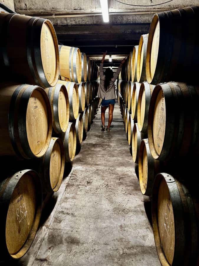 Auckland: Wine region tour with tastings and gourmet lunch - Crossing the Harbour Bridge into West Auckland wine country