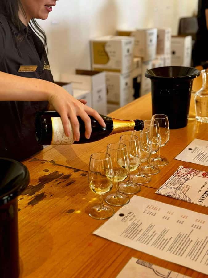 Auckland: Wine region tour with tastings and gourmet lunch - Soljans Estate Winery and a family winemaking tradition