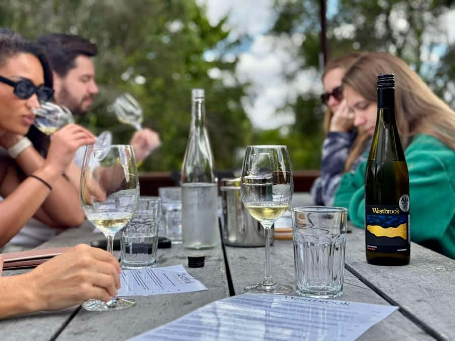 Auckland: Wine region tour with tastings and gourmet lunch - Should you book this Auckland wine tour?