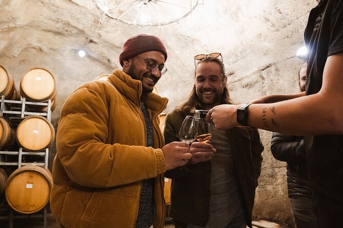 Award Winning Premium Wine Tour Queenstown Tasting at 4 Wineries - Who should book this Queenstown wine tour?