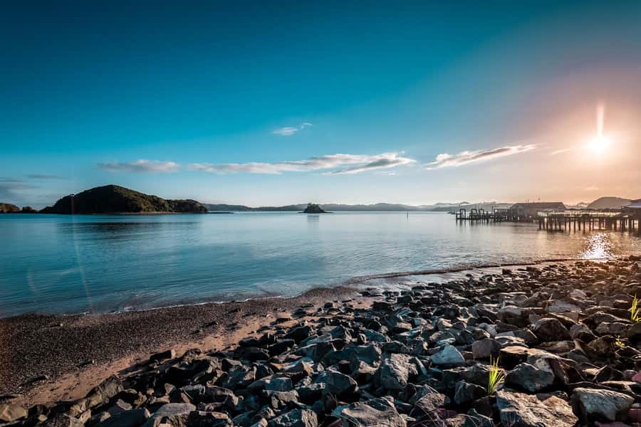 Bay of Islands: 1 Hour Scenic Bay of Islands Tour - Haruru Falls and its Māori story