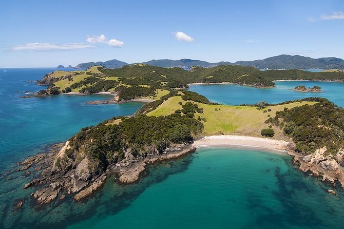 Bay of Islands 2-Day Small Group Tour & Cruise from Auckland - Kauri Museum: a useful first stop