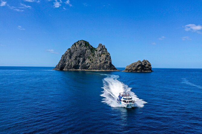 Bay of Islands 2-Day Small Group Tour & Cruise from Auckland - Tāne Mahuta and the Waipoua Forest