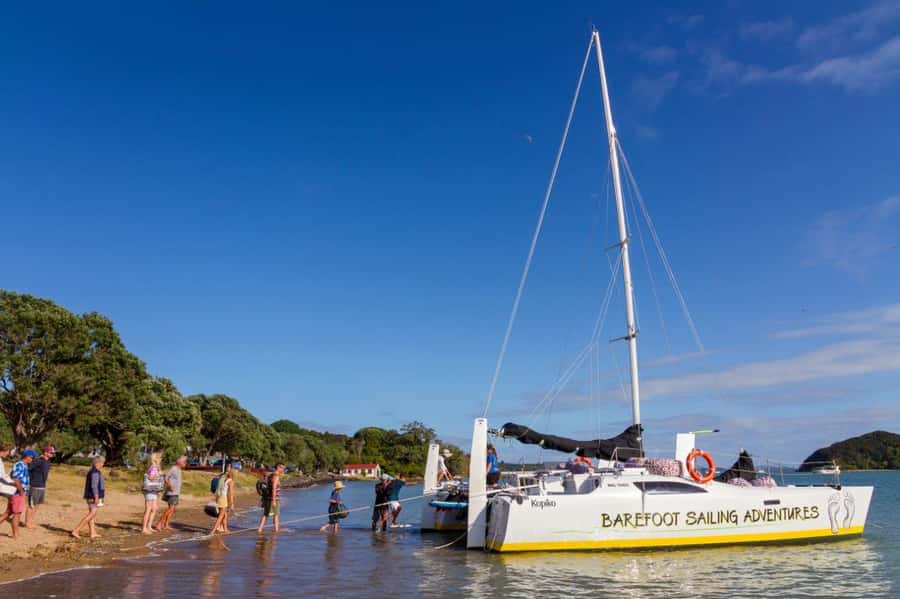 Bay of Islands 2-Hour Sundowner Evening Sailing Cruise - Why the 5 PM departure works so well