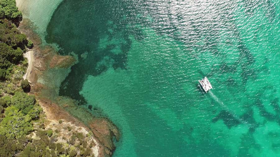 Bay of Islands 2-Hour Sundowner Evening Sailing Cruise - Practical booking advice for Paihia