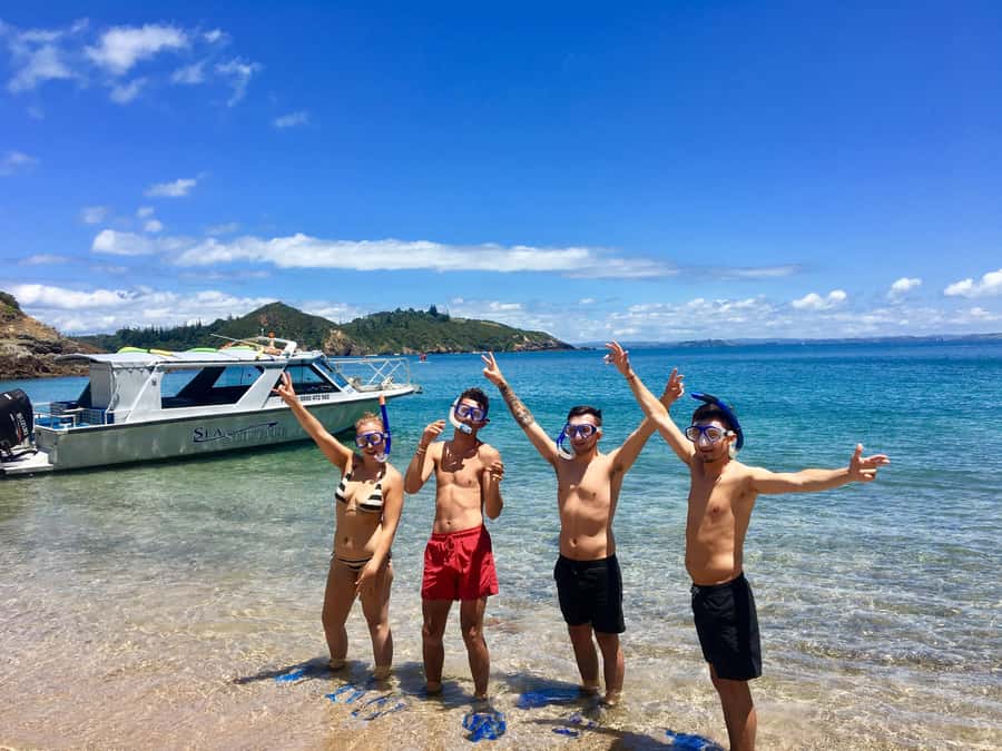 Bay of Islands: 4.5 Hour Day Cruise and Island Getaway Tour - Cruising among 144 islands