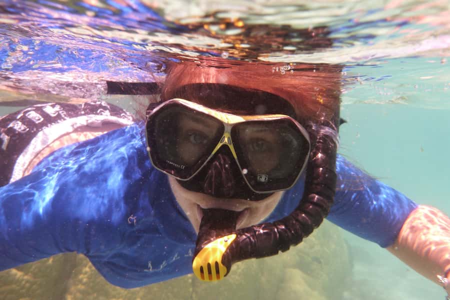 Bay of Islands: 4.5 Hour Day Cruise and Island Getaway Tour - The Hole in the Rock and Cape Brett