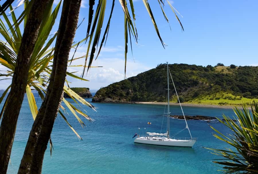 Bay of Islands: Awesome Day Sailing Tour with Island Stop - Captain Mike and the personal feel of the day