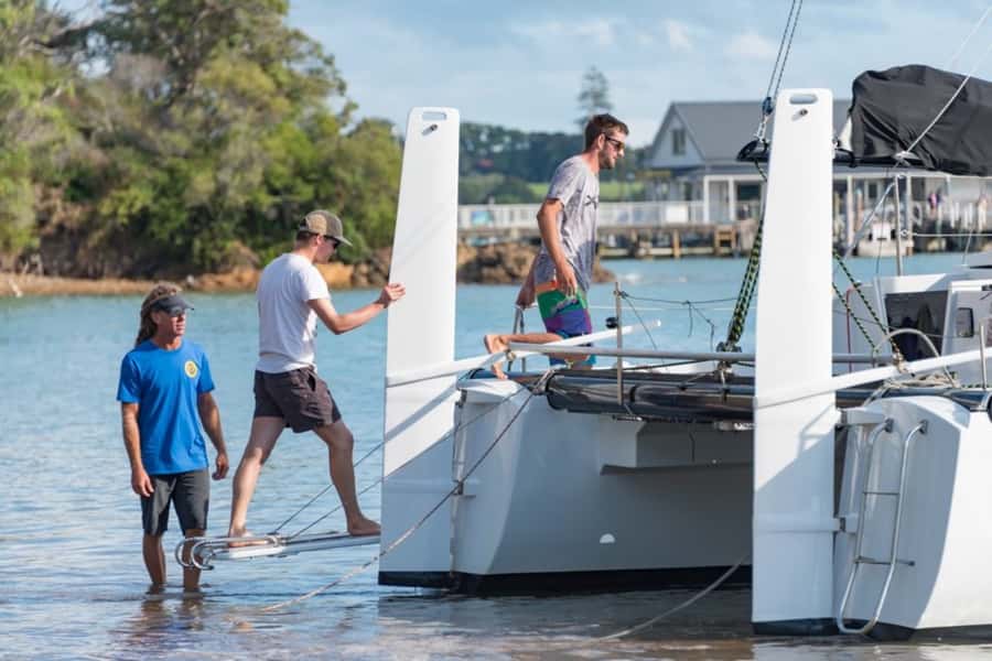 Bay of Islands: Catamaran Sail, Wildlife Island & Lunch - A six-hour sailing day from Paihia