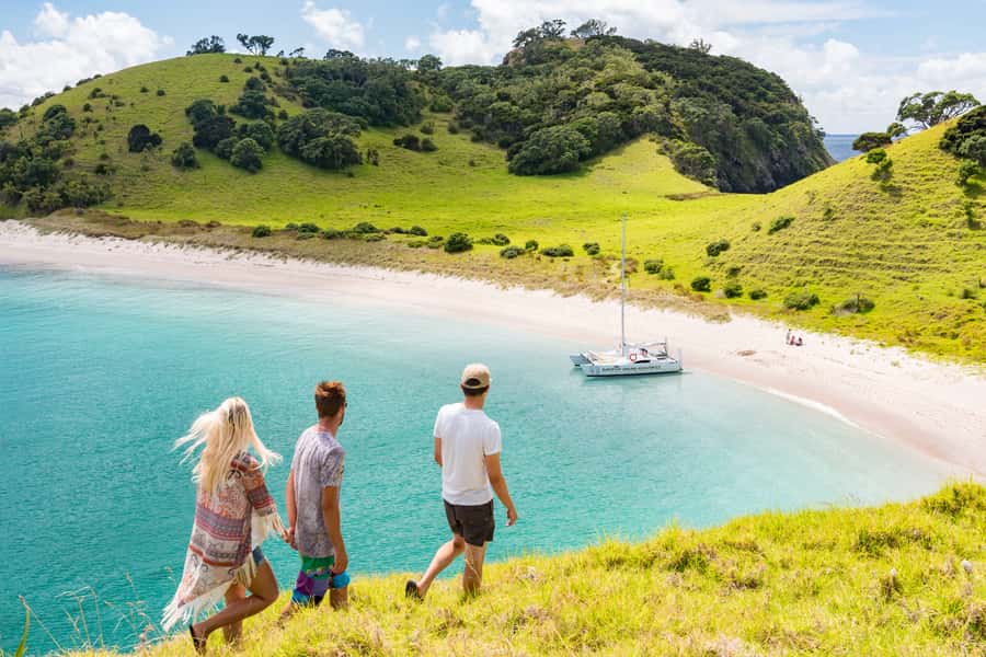 Bay of Islands: Catamaran Sail, Wildlife Island & Lunch - The wildlife sanctuary island stop