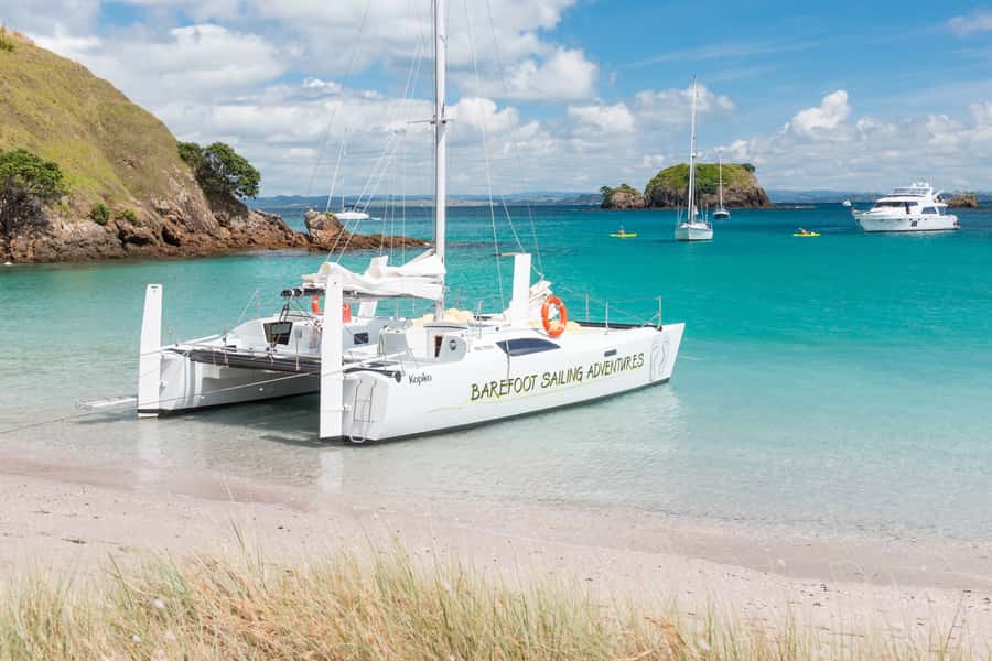 Bay of Islands: Catamaran Sail, Wildlife Island & Lunch - Picnic lunch on the beach