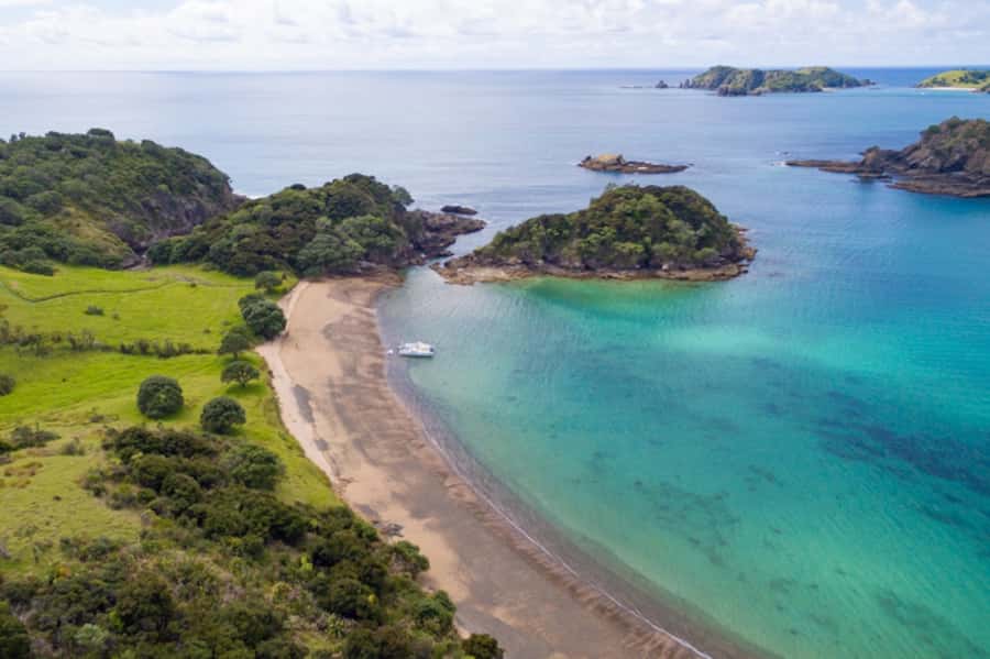 Bay of Islands: Catamaran Sail, Wildlife Island & Lunch - What the price includes at $134