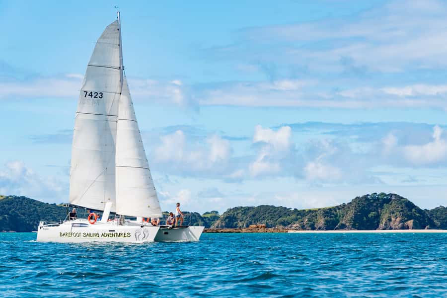 Bay of Islands: Catamaran Sail, Wildlife Island & Lunch - The outward sail through 144 islands
