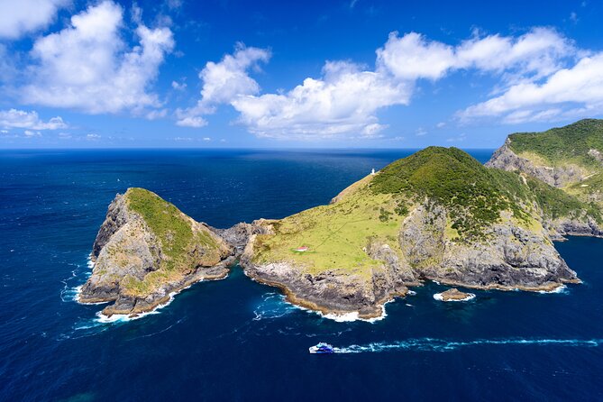 Bay of Islands Explorer Experience Small Group Tour From Auckland - Watching for dolphins, whales, seals, and birds