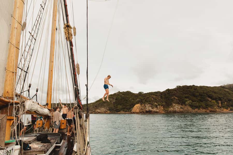 Bay of Islands: Full-Day Tall Ship Sailing Excursion - Wind, Weather, and the Reality of Sailing