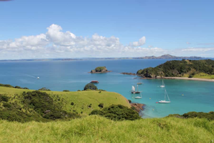 Bay of Islands: Full-Day Tall Ship Sailing Excursion - Should You Book This Sailing Day?