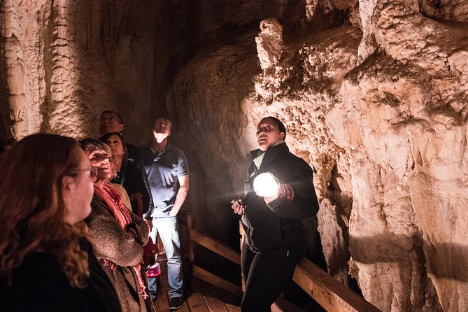 Bay of Islands Glow Worm Caves & Scenic Shore Excursion - Haruru Falls offers a quick scenic pause