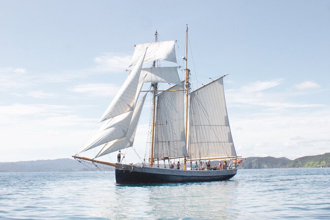 Bay of Islands Glow Worm Caves & Scenic Shore Excursion - Group size and vehicle comfort