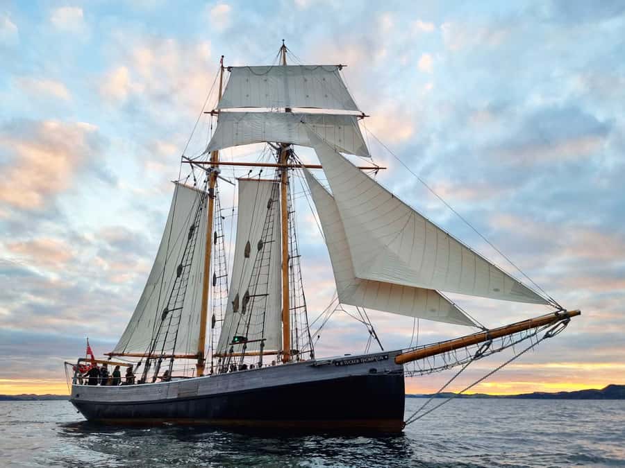 Bay of Islands: Late Afternoon Sailing Cruise - Sailing a Working Tall Ship, Not Just a Bay Cruise