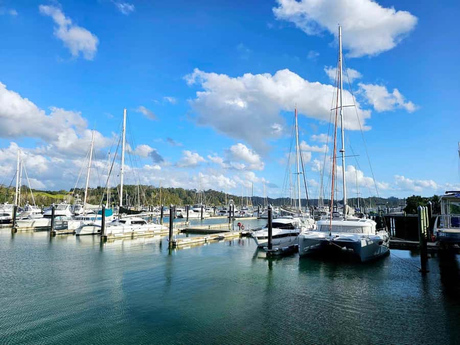 Bay of Islands - Mini Tour (75-90 mins) - Waitangi Lookout: the wide final view