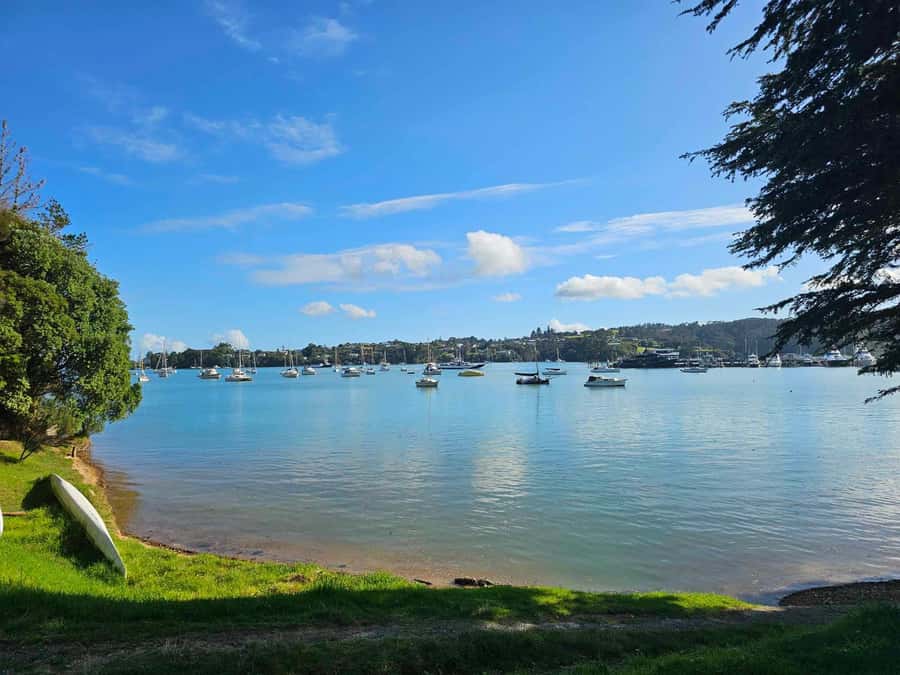 Bay of Islands - Mini Tour (75-90 mins) - Who will enjoy this tour most?