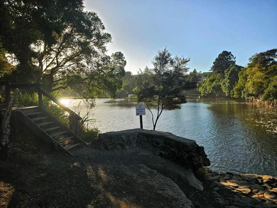 Bay of Islands - Mini Tour (75-90 mins) - Should you book the Bay of Islands Mini Tour?