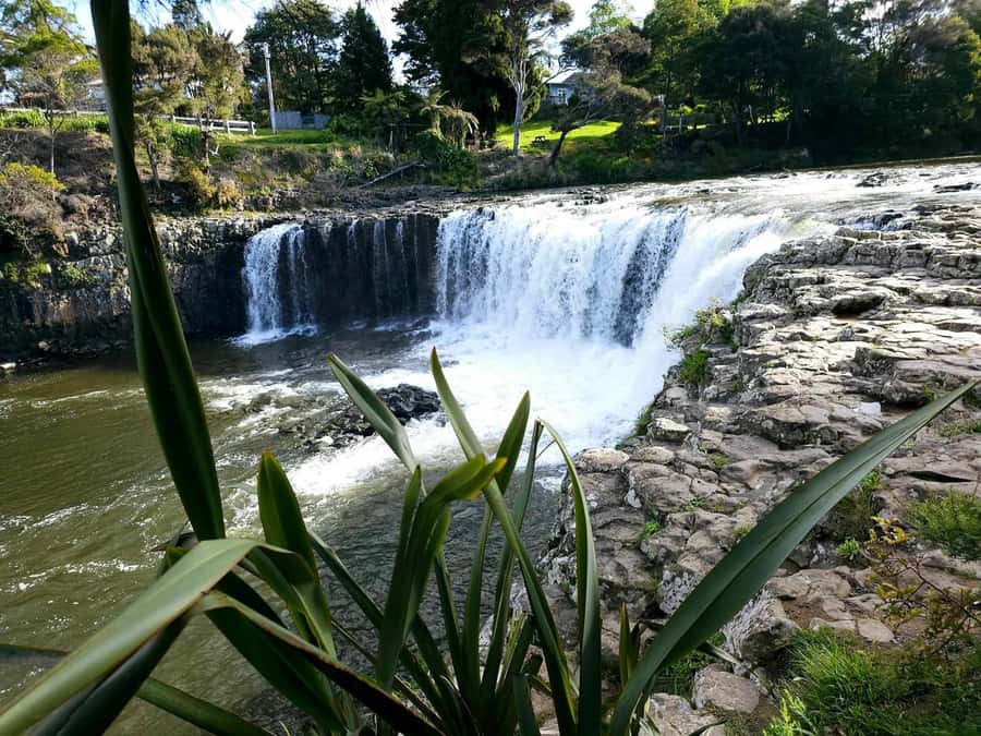 Bay of Islands - Mini Tour (75-90 mins) - Haruru Falls: the most memorable stop