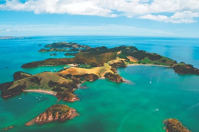 Bay of Islands Private Tour - The three-hour road to Paihia