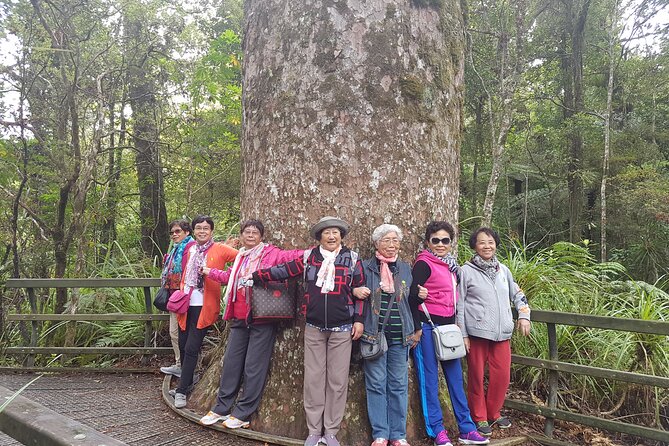 Bay of Islands Shore Excursion: Puketi Rainforest Guided Walk - Who should book this Bay of Islands excursion?