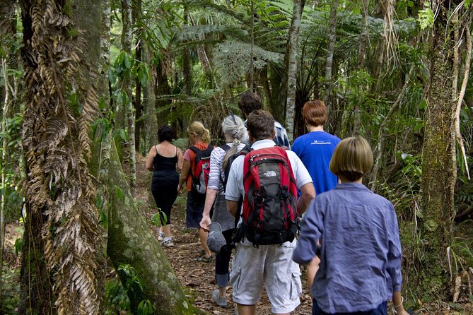 Bay of Islands Shore Excursion: Puketi Rainforest Guided Walk - What guides Ian and Helen add