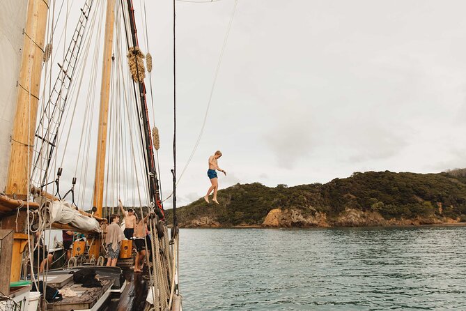 Bay of Islands Tall Ship Sailing on R. Tucker Thompson Including BBQ Lunch - Wildlife watching from the rigging