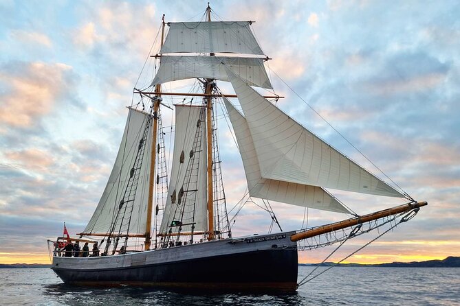 Bay of Islands Tall Ship Sundowner Sailing - Key points to know before sailing