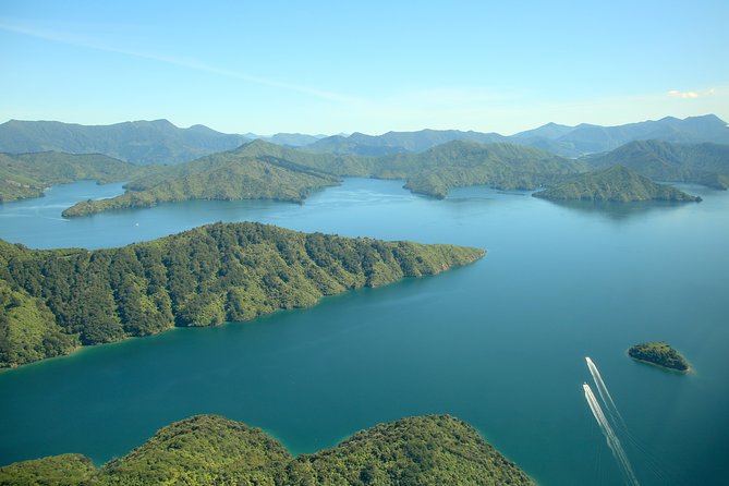Bays and Bush Flight Scenic Tour - Key points to know before you book