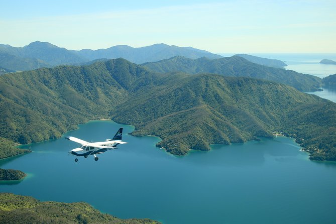 Bays and Bush Flight Scenic Tour - Why an aerial view works so well in Picton