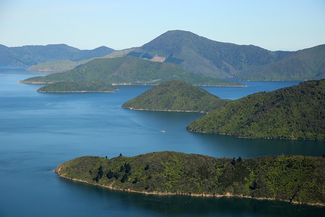 Bays and Bush Flight Scenic Tour - Weather, timing, and cancellation rules