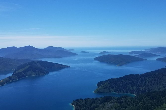 Bays and Bush Flight Scenic Tour - Starting at Picton Aerodrome