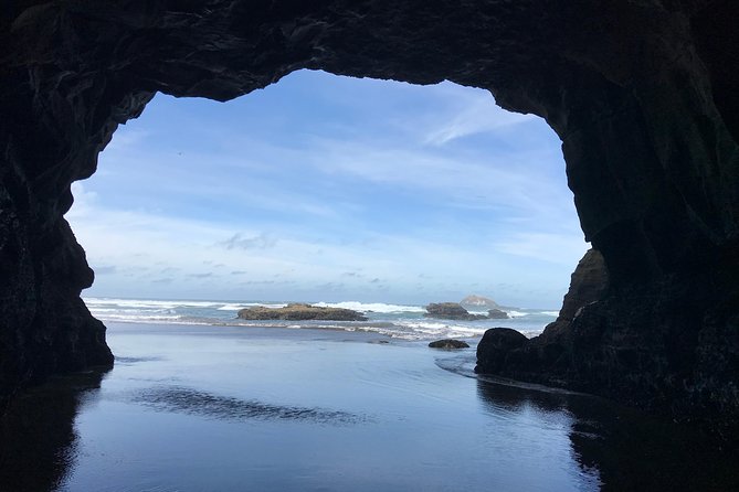 Beautiful Nature Tours Auckland - Private Tour - What private transport adds to a four-hour tour