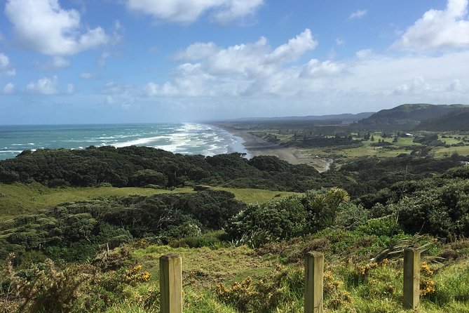 Beautiful Nature Tours Auckland - Private Tour - Snacks, tea, and the question of lunch