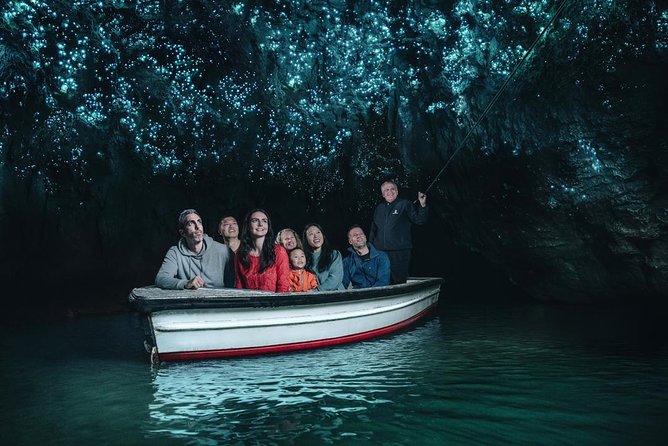 Beautiful Nature Tours Auckland - Private Tour - Is $304.08 per person good value?