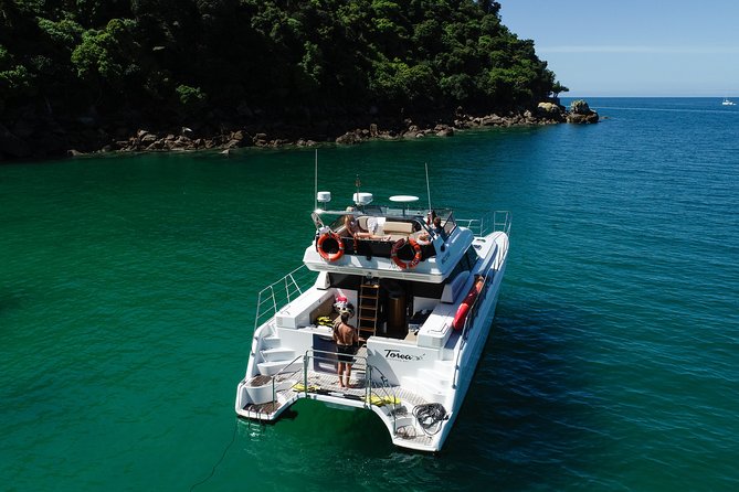 Best Abel Tasman Day trip - Key things to know before booking